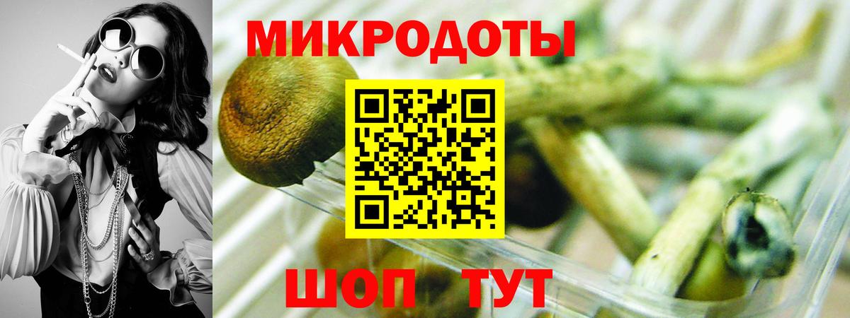 как найти закладки  Вход с VPN  Балашиха  Псилоцибиновые грибы мицелий 